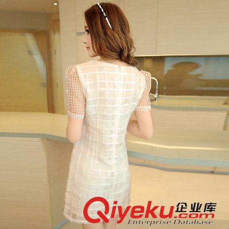 實(shí)拍蘇醒的樂園夏裝新款新品 韓版優(yōu)雅短袖女裝修身歐根紗連衣裙原始圖片2