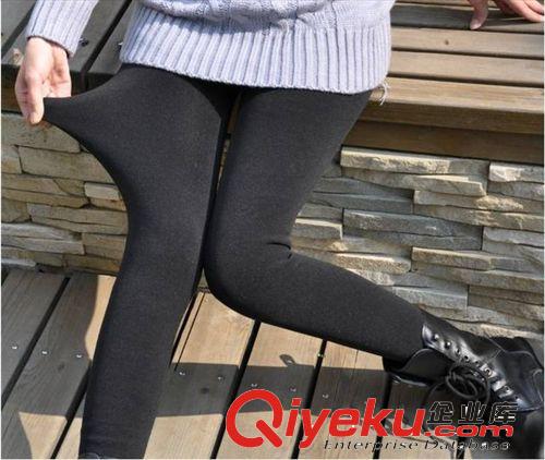 女裝孕婦褲 加厚保暖 不倒絨打底褲9925原始圖片3