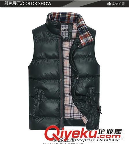 秋冬季男式馬甲潮男韓版時尚休閑立領(lǐng)男士棉背心 廠家直銷原始圖片3