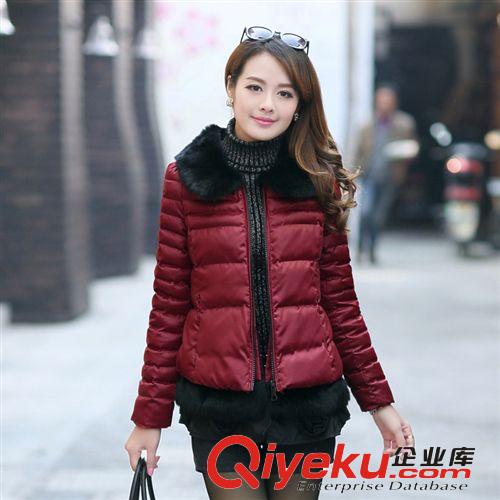 淘寶代理加盟 新款時(shí)尚品牌女裝羽絨棉衣棉服 艾裳格9913 配毛領(lǐng)原始圖片2