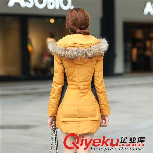 廠家直銷 新款熱賣加厚保暖大碼女裝羽絨服 彩虹坊8517 配毛領(lǐng)原始圖片2
