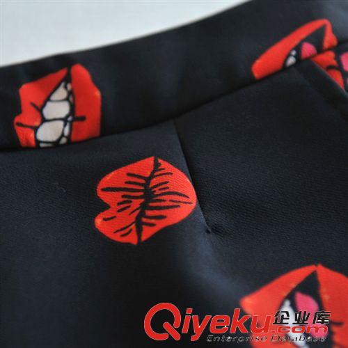 ZZ名品2014年春季新款黑底唇紋拉鏈半身裙包裙歐美街頭zf01084原始圖片2