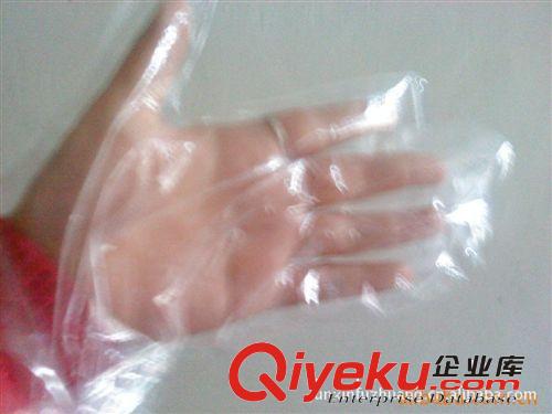 供應(yīng)一次性手套原始圖片3