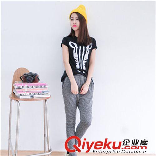 2014夏季新品 韓版斑馬圖案印花百搭短袖T恤打底衫上衣女原始圖片2