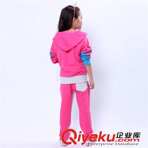 2014新款秋裝韓版女童中大童兒童套裝 童裝服裝免費代理加盟 分銷原始圖片3