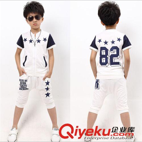 2014夏季新款男童純棉套裝 批發(fā)廠家直銷  一件代發(fā) 誠(chéng)招代理原始圖片2