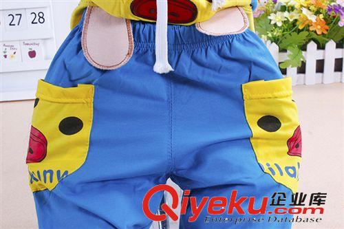廠家直銷2014夏裝新款男女寶寶短袖中褲兩件套 品牌童裝 一件代發原始圖片3