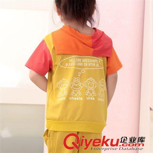 廠家直銷 夏季新品小童女童兩件套裝上衣加中褲 網(wǎng)絡(luò)代理加盟原始圖片2
