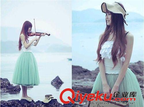 促銷百搭公主裙 精品時(shí)尚半身裙 韓式蓬蓬裙 百褶半身裙 AA81895原始圖片3