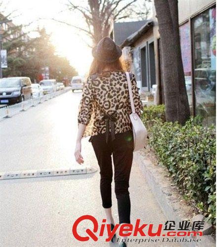2013夏裝新款 瑞麗 日韓女裝瑞麗 豹紋束腰雪紡 中袖開衫 外套原始圖片3