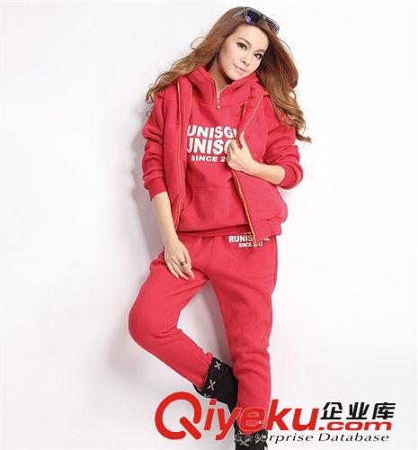 2014秋冬 新品女裝 休閑  連帽衛(wèi)衣三件套  外套 運(yùn)動(dòng)套裝2014原始圖片2