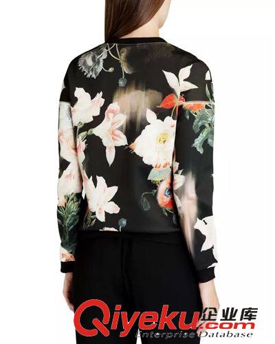 廠家直銷 2014秋裝新款歐美風(fēng)圓領(lǐng)套頭田園印花色女式衛(wèi)衣套頭衫原始圖片2