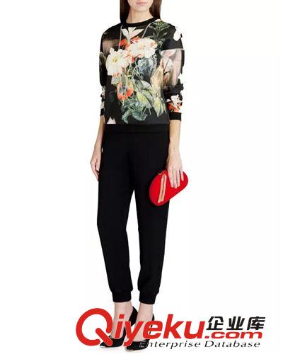 廠家直銷 2014秋裝新款歐美風(fēng)圓領(lǐng)套頭田園印花色女式衛(wèi)衣套頭衫原始圖片3