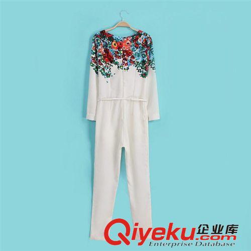 廠家直銷 2014新款女裝批發(fā)歐美風明星走秀款印花連體褲長褲子原始圖片3