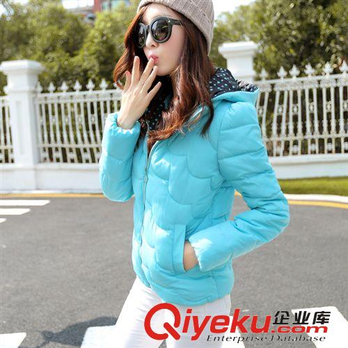 2014冬裝新款修身羽絨棉服韓版波點(diǎn)短裝輕薄女式羽絨服原始圖片3