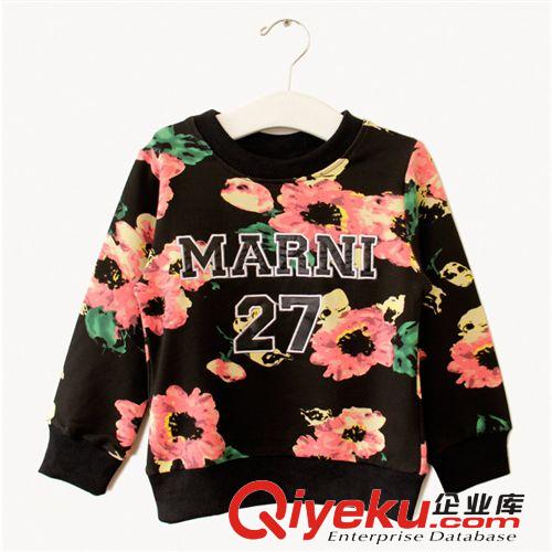 A89202 童裝 新款秋款韓版 外貿27花朵刺繡純棉兒童衛衣 廠家直銷原始圖片2