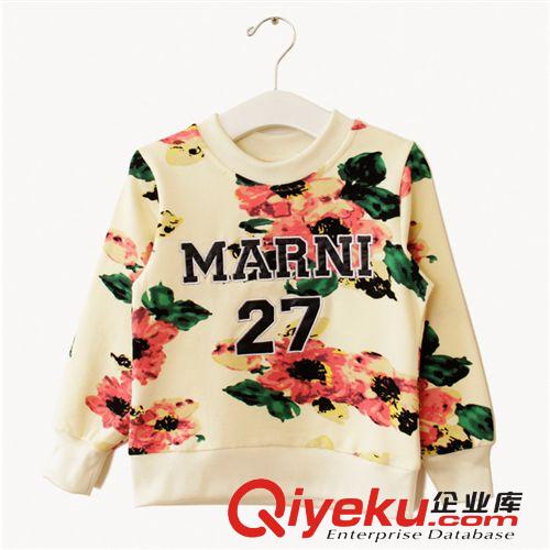 A89202 童裝 新款秋款韓版 外貿27花朵刺繡純棉兒童衛衣 廠家直銷原始圖片3