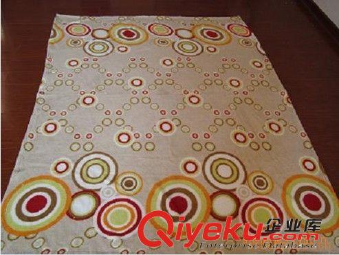 供應(yīng)珊瑚絨印花毛毯子、毛毯原始圖片2