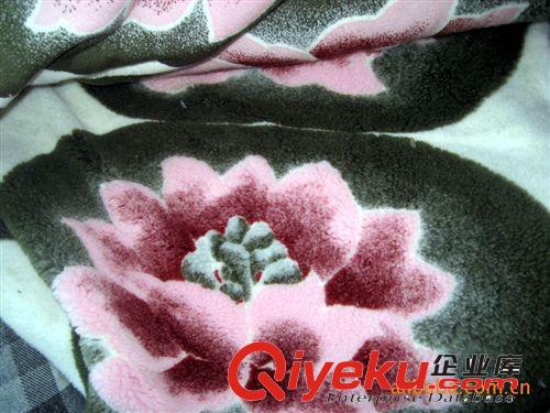 全滌仿羊羔絨 舒棉絨 lamb fleece素色 印花 dyeing printing