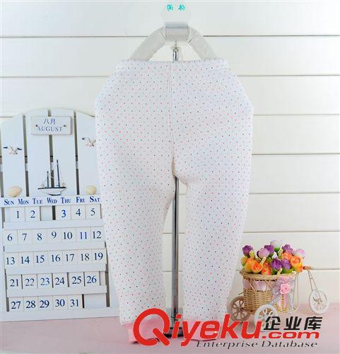 新款品牌童褲 純棉圓點兒童保暖褲 全棉嬰幼兒保暖長褲 清倉批發(fā)原始圖片2