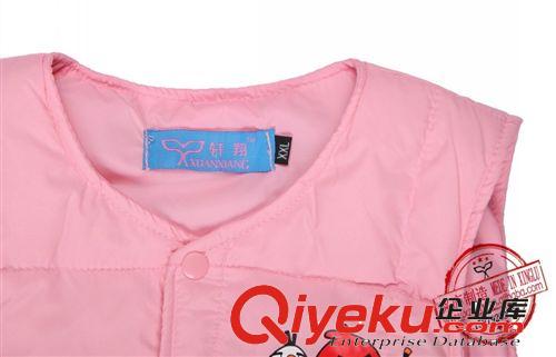 廠家批發(fā)優(yōu)質(zhì)羽絨中小童男女兒童憤怒的小鳥羽絨服 保暖羽絨馬甲原始圖片3