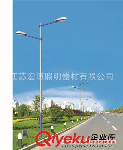 優質單臂鋼桿路燈  新工藝鋼桿路燈  LED路燈  精品路燈