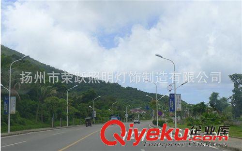 路燈廠家供應(yīng)各種尺寸的燈桿 雙臂LED路燈燈桿 單臂LED燈桿原始圖片2