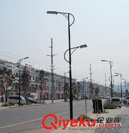 路燈廠家供應(yīng)各種尺寸的燈桿 雙臂LED路燈燈桿 單臂LED燈桿原始圖片3