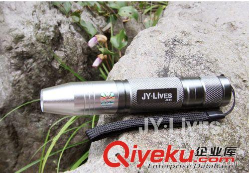 廠家直銷 照玉專用手電筒 黃光 強光手電筒原始圖片2