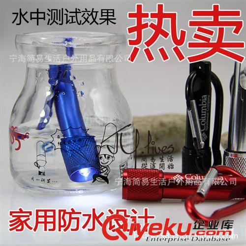 工廠直銷 禮品鑰匙燈 箱包鑰匙扣 家用照明LED迷你手電便攜鑰匙燈原始圖片2