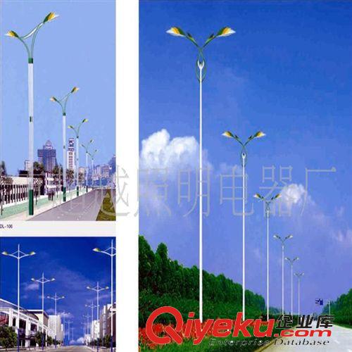 戶外led路燈 新農(nóng)村建設(shè)led路燈 led單臂道路路燈廠家 戶外路燈