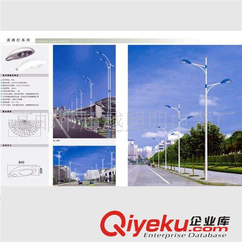 戶外led路燈 新農(nóng)村建設(shè)led路燈 led單臂道路路燈廠家 戶外路燈原始圖片2