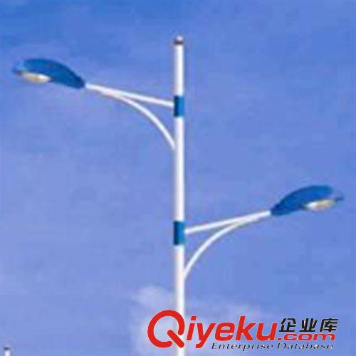 戶外led路燈 新農(nóng)村建設(shè)led路燈 led單臂道路路燈廠家 戶外路燈原始圖片3