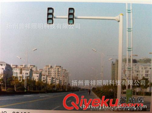 2013 tj銷售 6米雙臂路燈 8米道路燈 LED路燈
