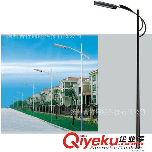 2013 品牌促銷 普祥 30-60w 小區(qū)led路燈 zyjl