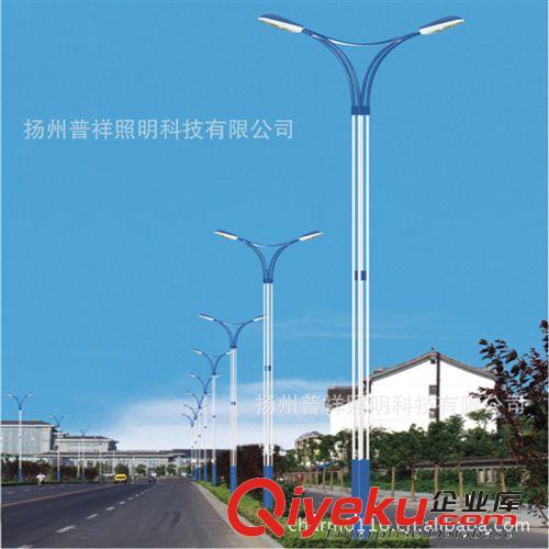 2013 品牌促銷 普祥 30-60w 小區(qū)led路燈 zyjl原始圖片2