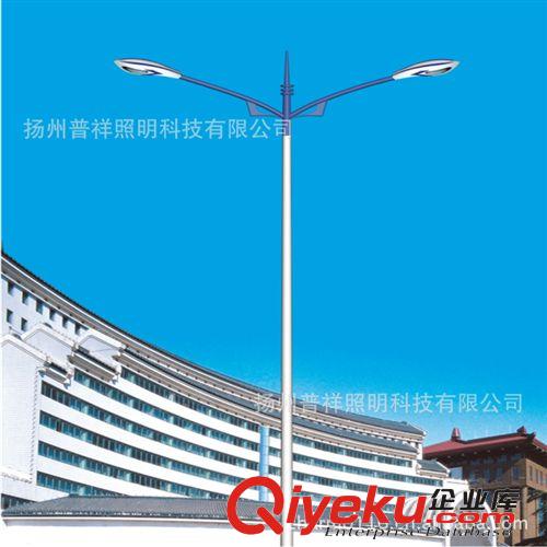 2013 品牌促銷 普祥 30-60w 小區(qū)led路燈 zyjl原始圖片3