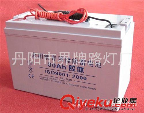 專業提供 太陽能路燈蓄電池 太陽能燈具蓄電池原始圖片3
