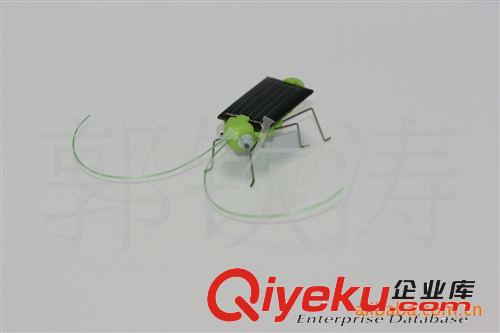 廠家直銷太陽能蚱蜢 量大從優(yōu) 款式新穎 太陽能昆蟲 太陽能玩具原始圖片3