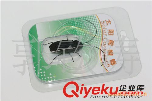 廠(chǎng)家直銷(xiāo)太陽(yáng)能蟑螂玩具 太陽(yáng)能昆蟲(chóng) 太陽(yáng)能蟲(chóng)子 廠(chǎng)家直銷(xiāo)批發(fā)原始圖片2