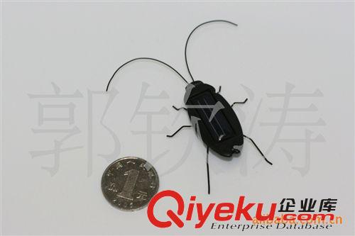 廠(chǎng)家直銷(xiāo)太陽(yáng)能蟑螂玩具 太陽(yáng)能昆蟲(chóng) 太陽(yáng)能蟲(chóng)子 廠(chǎng)家直銷(xiāo)批發(fā)原始圖片3