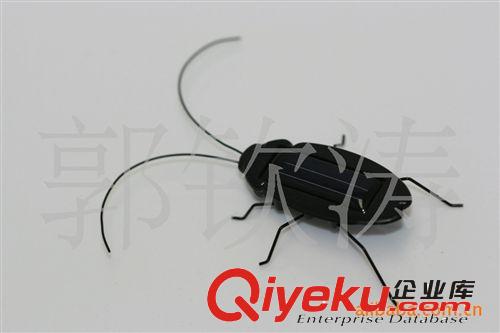 廠家直銷太陽能蟑螂玩具。量大從優