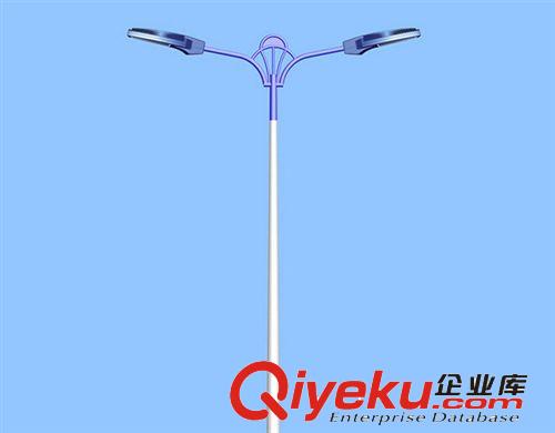 精品LED燈桿   led燈桿批發(fā) 廠家直銷LED燈桿 優(yōu)質(zhì)LED燈桿
