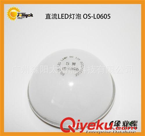 夜市照明水果攤照明特亮LED燈泡 太陽能電瓶直流LED燈泡 L0507