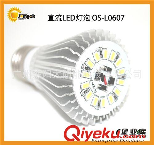 太陽能LED燈泡 太陽能照明小系統燈泡 12V系統電瓶燈泡 直流L0607原始圖片2