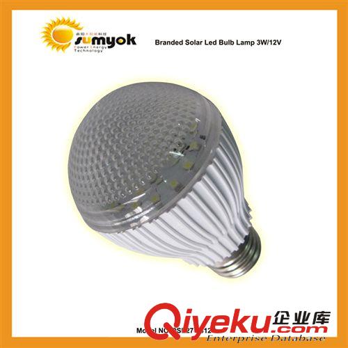 廣州專業廠家供應優質太陽能LED燈泡 3W
