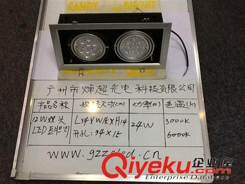 廠家tj供應LED豆膽燈單頭多頭  2*12wLED豆膽燈原始圖片3