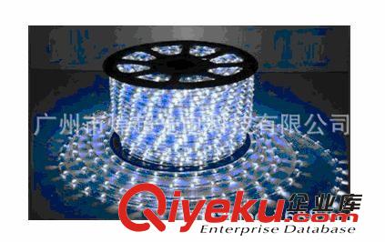 廣州5050LED燈條哈爾濱LED燈帶大連60珠5050燈帶青島LED軟燈條原始圖片3