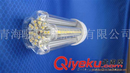 各種AC220V/DC12V/DC24V規(guī)格大功率LED照明
