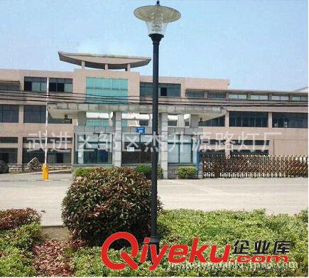 廣場led景觀燈 歐式戶外庭院燈 城市亮化led景觀燈  廠家生產
